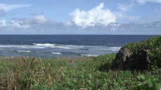 荒崎海岸_4-16-15.jpg